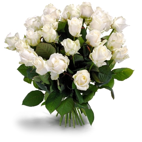 White roses