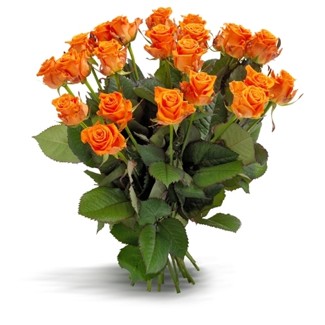 Rosenstrauss orange
