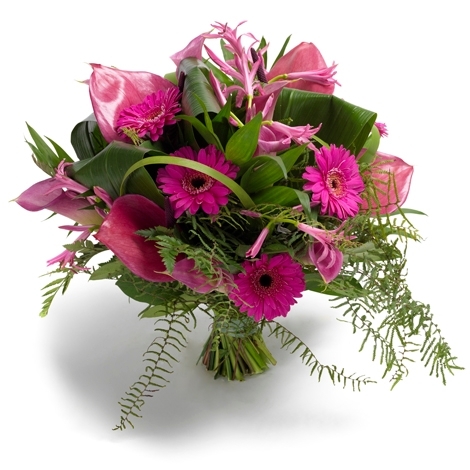 Gerbera Strau&szlig;