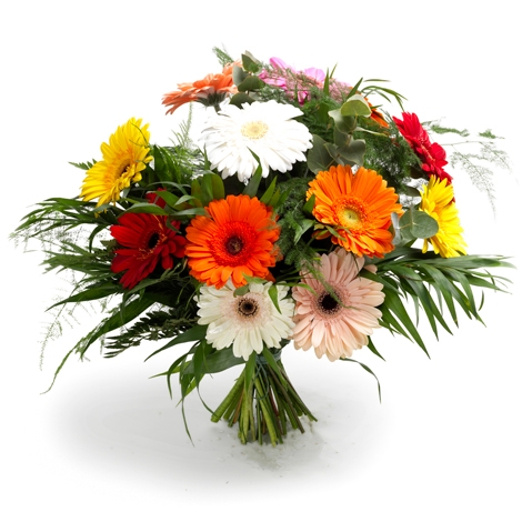 Gerbera Strau&szlig;