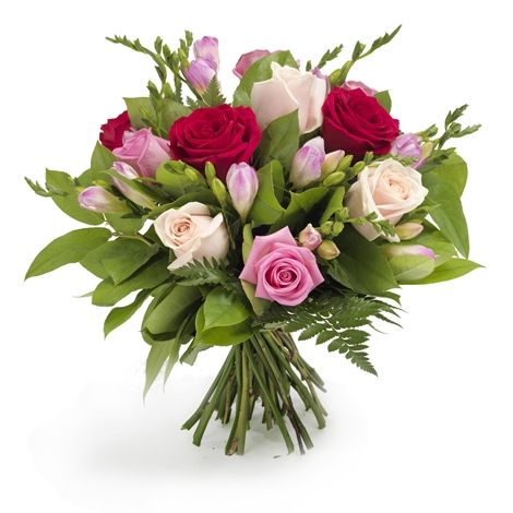 Strauss Blumenparadies